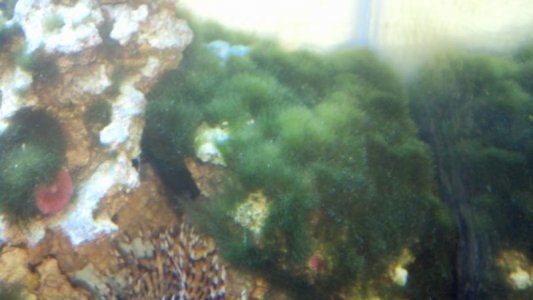 2012-12-01_13-07-35_965.jpg