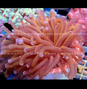 photo (10).jpg