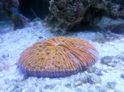 20121204_090719.jpg