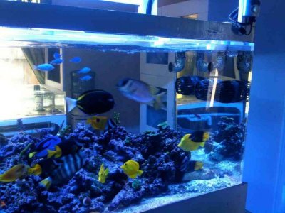 ImageUploadedByTapatalk1354646282.007105.jpg ImageUploadedByTapatalk1354646282.007105.jpg