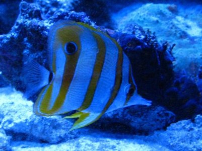 IMG_6253_small.jpg