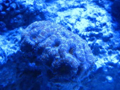 IMG_6248_small.jpg
