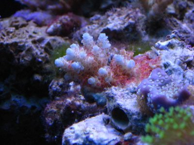 IMG_0091.jpg