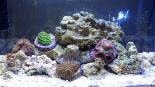 2012-12-05_20-33-36_318.jpg