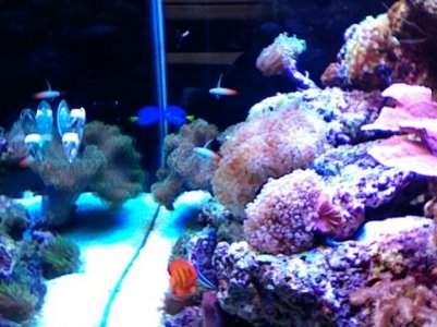 Photo 4.jpg