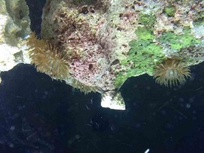 ImageUploadedByTapatalk HD1354839265.418928.jpg