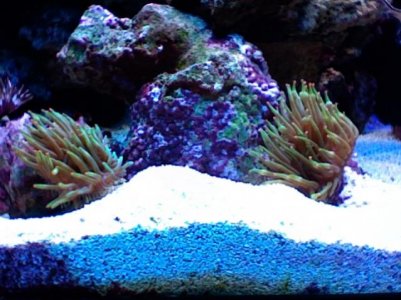 Photo 6.jpg