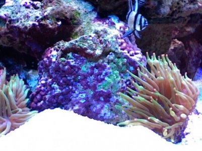Photo 2.jpg