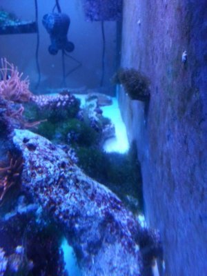 20121013_133535.jpg