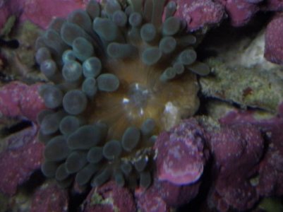 PC091190 (640x480).jpg