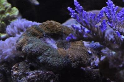 DSC_0073 (400x266).jpg
