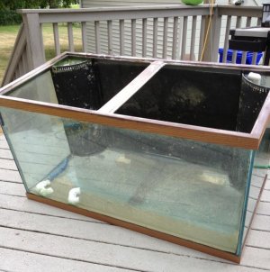 120gal.jpg