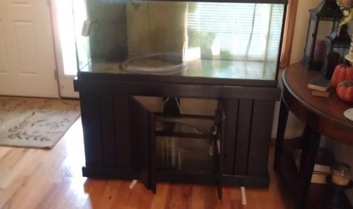 75g.jpg