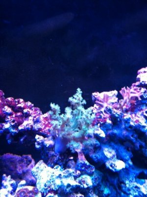 photo.JPG