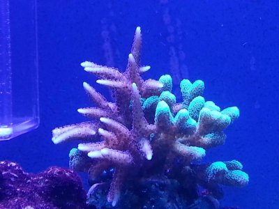 2012-12-09 20.49.15.jpg