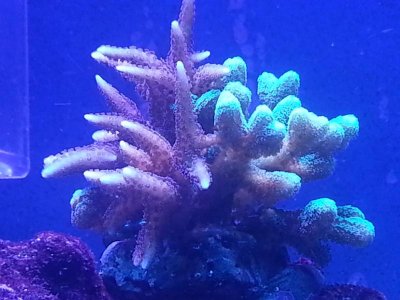 2012-12-10 23.57.40.jpg