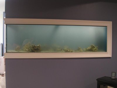 IMG_9677.jpg