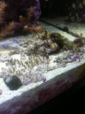 IMG_0744.jpg