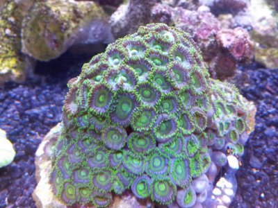 20121212_081441.jpg