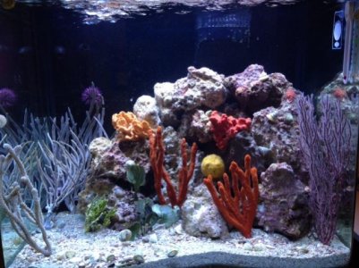 photo-1.jpg