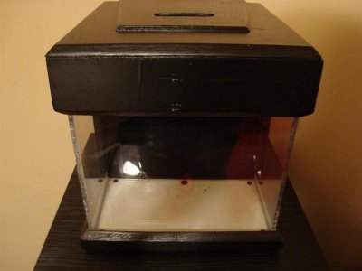 DSC01245 (Large).jpg