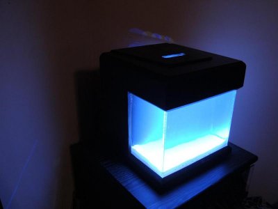 DSC01255 (Large).jpg