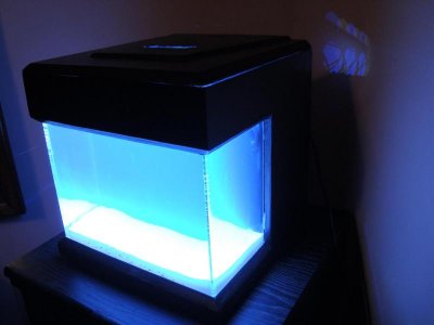 DSC01256 (Large).jpg