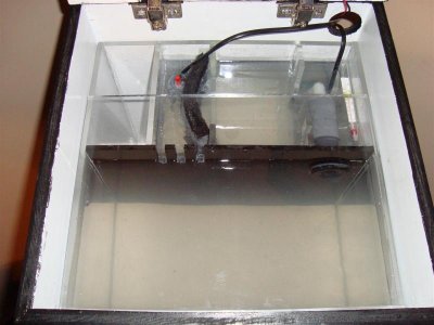 DSC01257 (Large).jpg