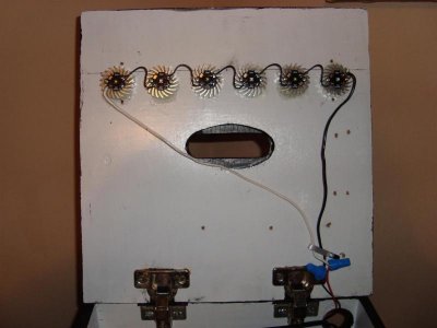 DSC01258 (Large).jpg