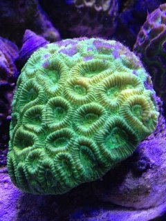 photo (1).JPG