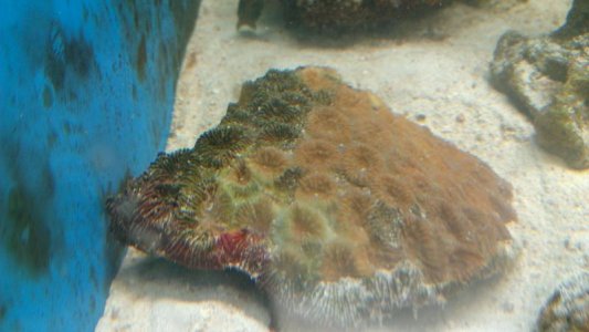 IMAG0099.jpg