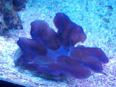 2012-12-14 16.53.32.jpg