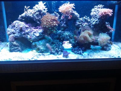 2012-12-14 16.51.57.jpg