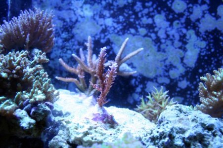 IMG_8334.jpg