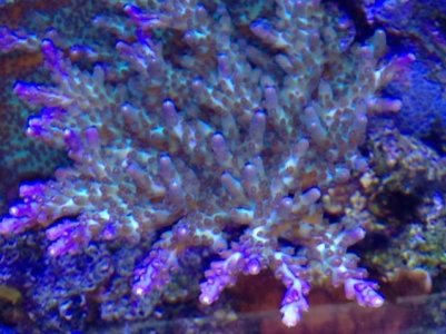 photo.jpg