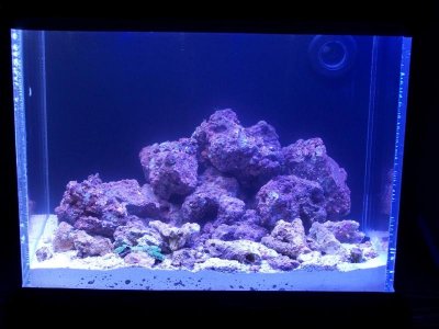 100_1808 (Large).jpg