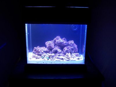 100_1809 (Large).jpg