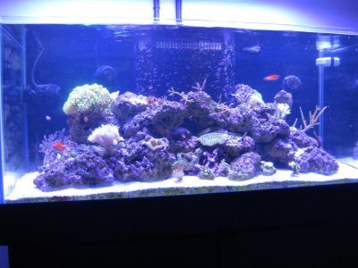 IMG_1443 (Custom).jpg