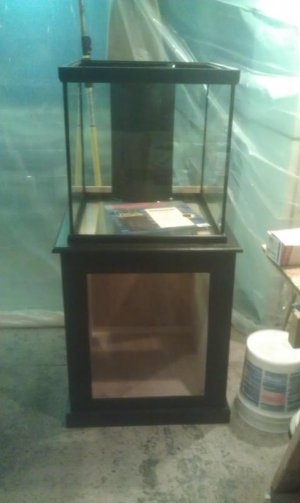 IMAG0720.jpg