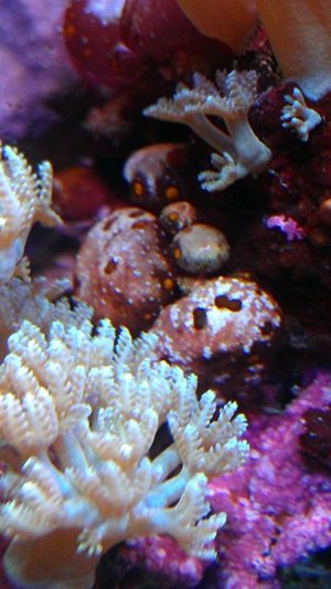 IMAG0442.jpg