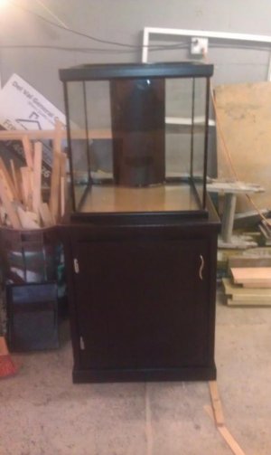 IMAG0732.jpg