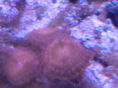 IMG_20121226_182341.jpg
