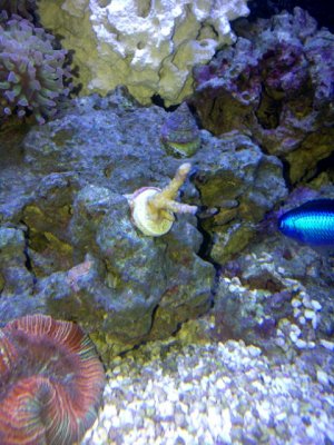 IMG-20121218-00321.jpg