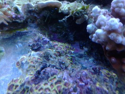 20121223_182802.jpg