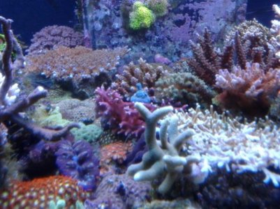 20121225_215846.jpg