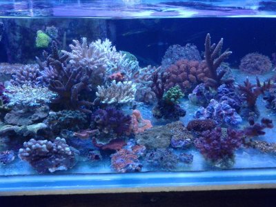 20121215_231034.jpg