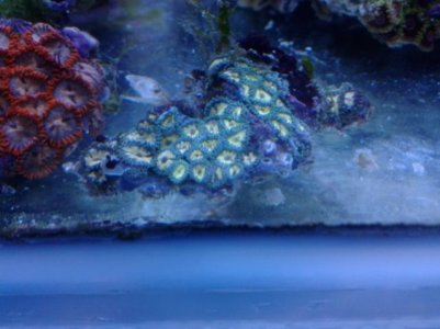 20121226_211225.jpg