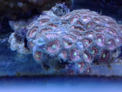 20121226_172133.jpg