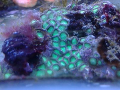 20121226_172123.jpg