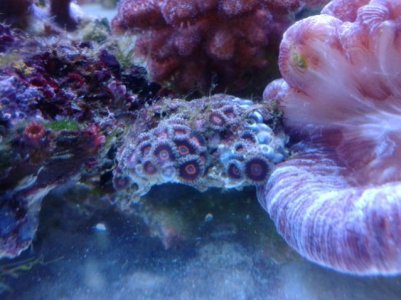 20121226_171012.jpg